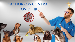 Leia mais sobre o artigo CACHORROS CONTRA COVID-19